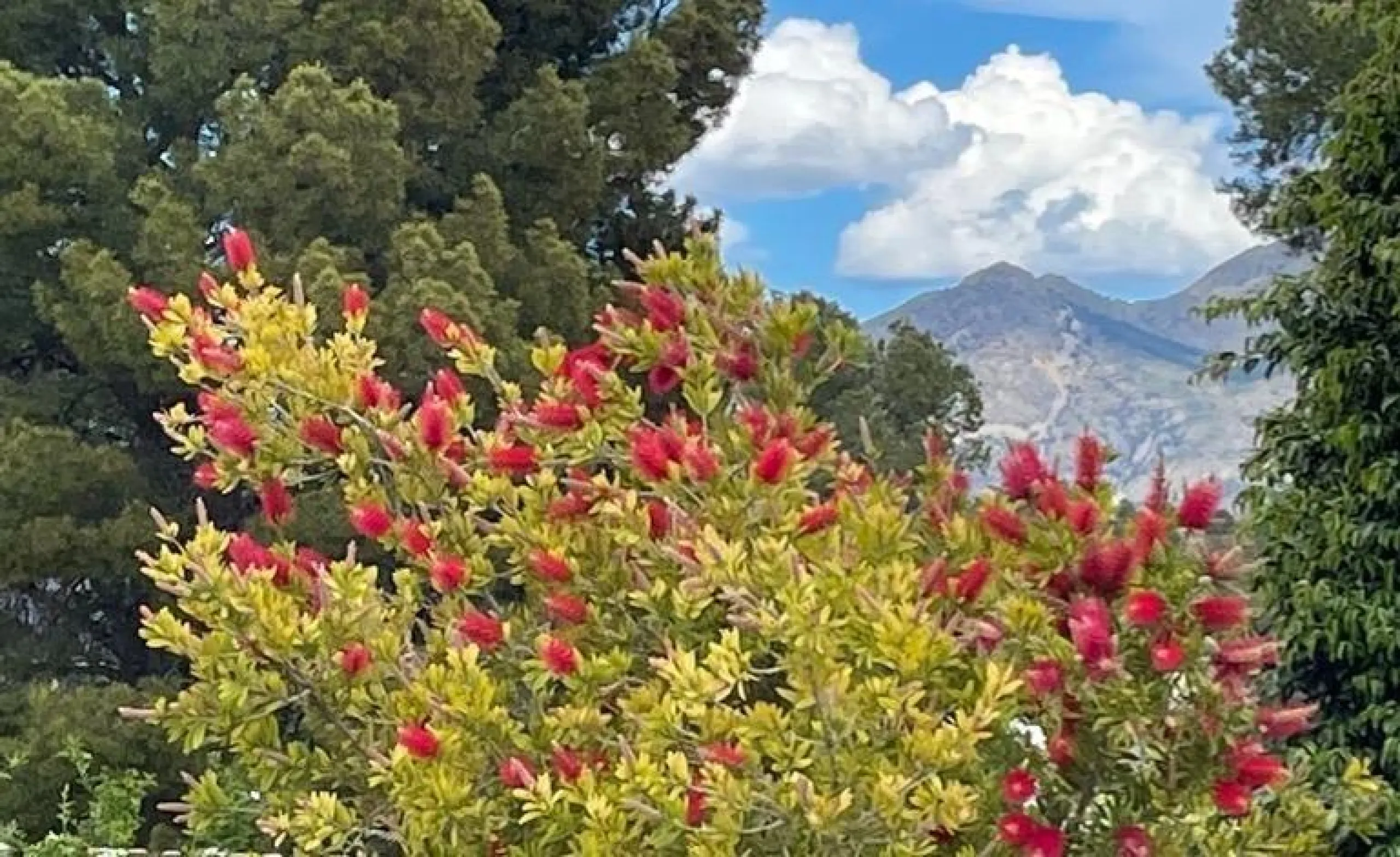 🌿 Live Between Sea and Mountains: Private Villa in a Natural Setting at the Foot of Mount Ponoig, Polop ⛰️🌊