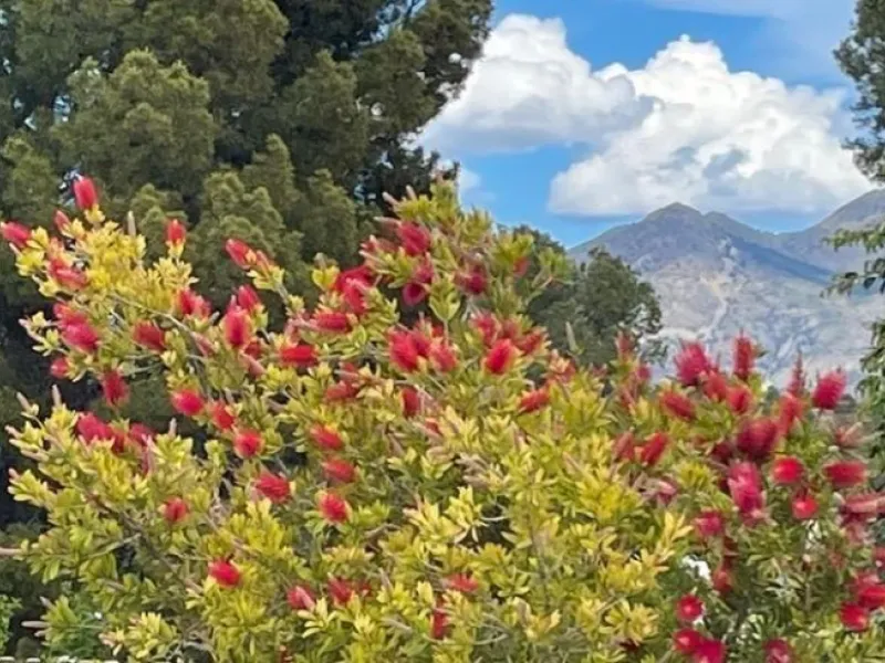 🌿 Live Between Sea and Mountains: Private Villa in a Natural Setting at the Foot of Mount Ponoig, Polop ⛰️🌊
