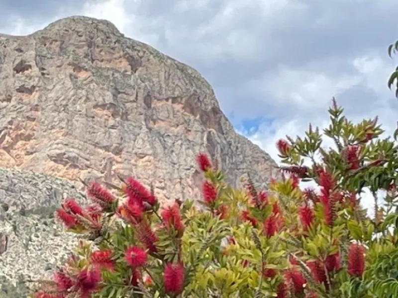 🌿 Live Between Sea and Mountains: Private Villa in a Natural Setting at the Foot of Mount Ponoig, Polop ⛰️🌊