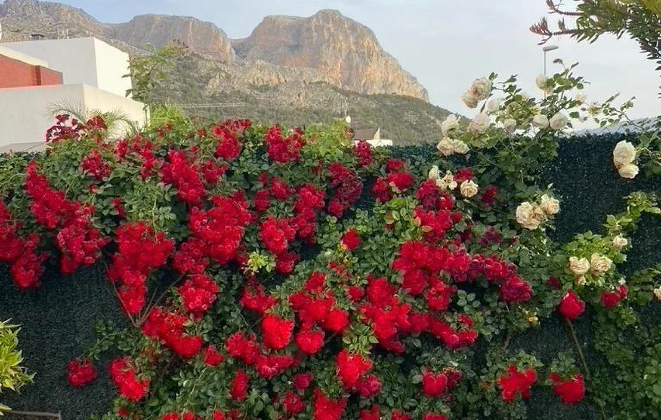 🌿 Live Between Sea and Mountains: Private Villa in a Natural Setting at the Foot of Mount Ponoig, Polop ⛰️🌊