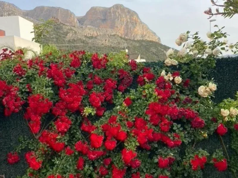 🌿 Live Between Sea and Mountains: Private Villa in a Natural Setting at the Foot of Mount Ponoig, Polop ⛰️🌊