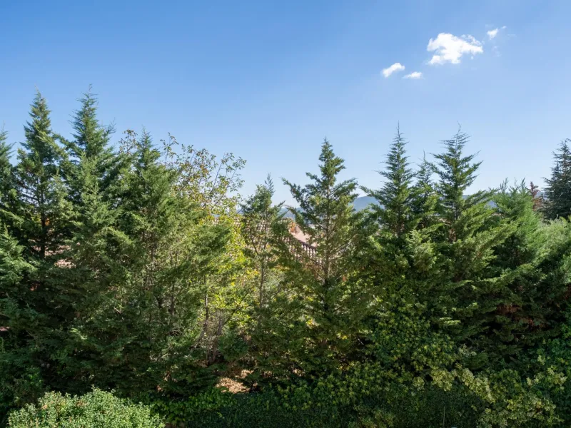 CHALET INDEPENDIENTE EN SAN MARTÍN DE VALDEIGLESIAS, MADRID
