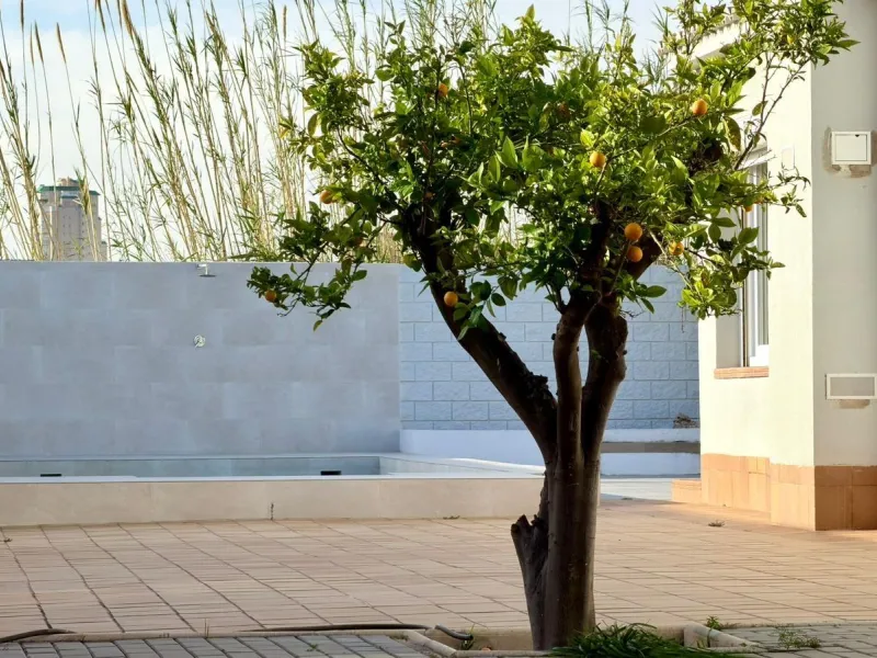Chalet independiente en El Campello, a pocos minutos del mar 🌊