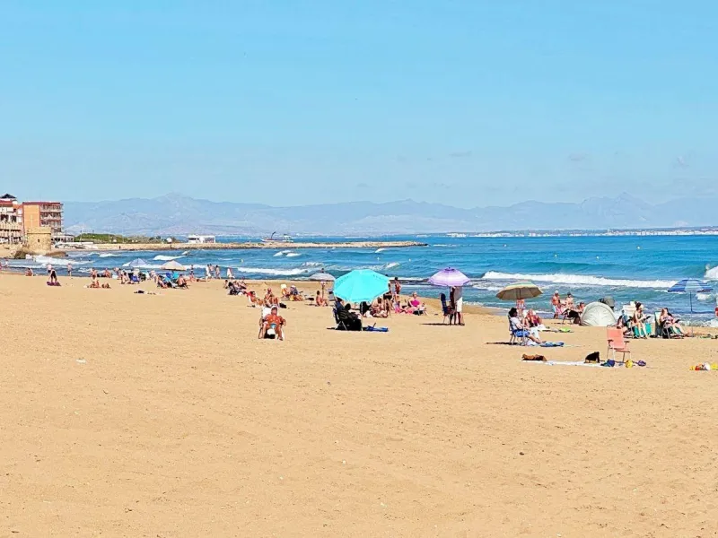 APARTMENT WITH LARGE TERRACE AND COMMUNITY SWIMMING POOL IN LA MATA. 1 BED. 1 BATH. AREA OF 45 M2.