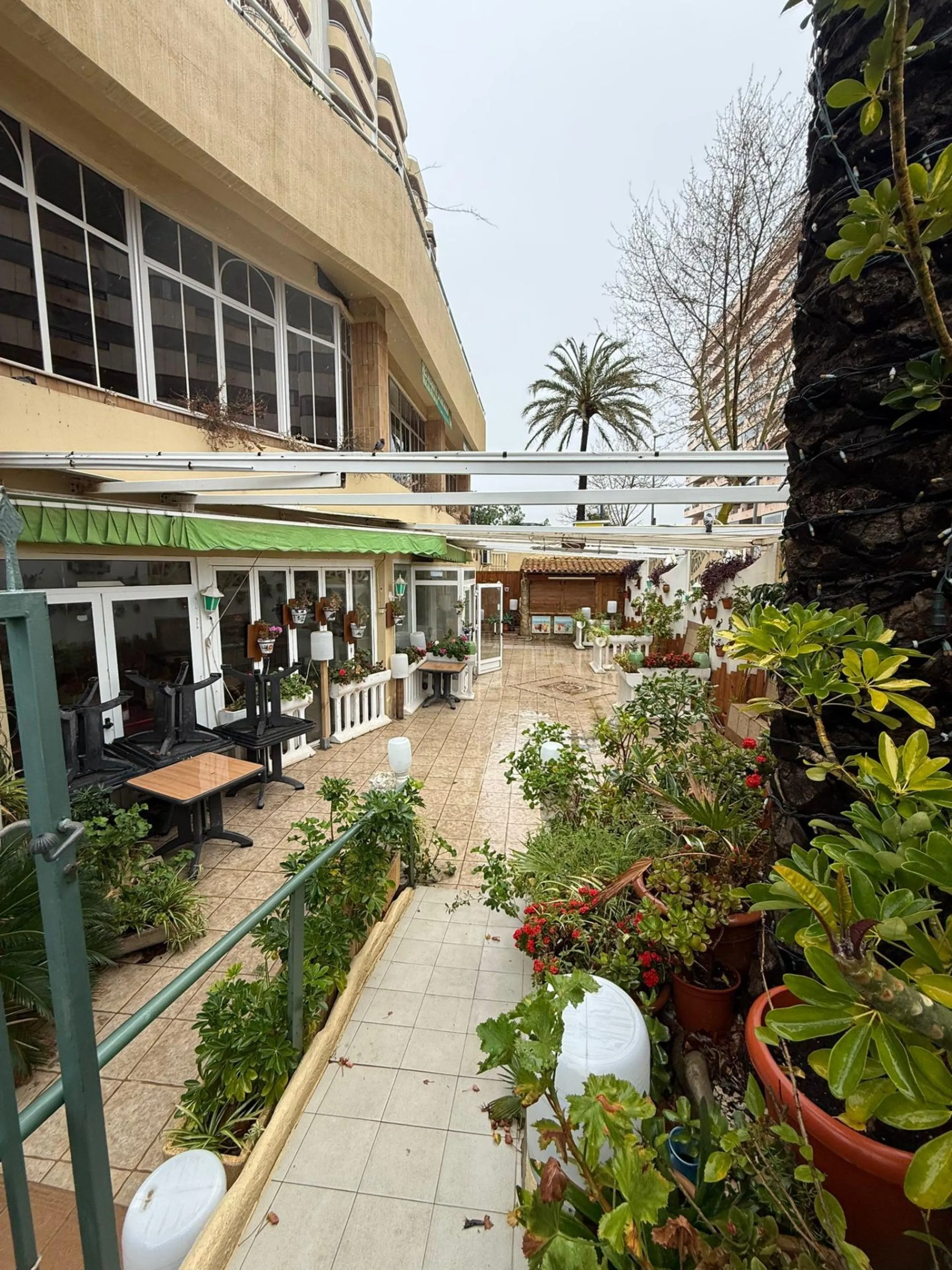 Restaurant on the Frontline of La Fosa Beach, Calpe – Business Ready to Start