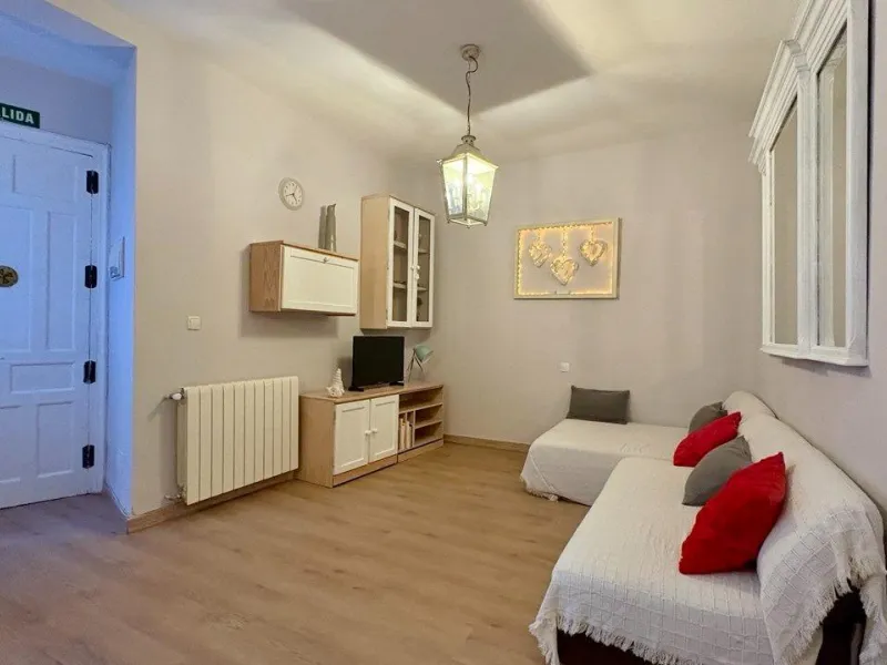 VIVIENDA REFORMADA EN EL HISTÓRICO BARRIO DE PALACIO, EN EL CORAZÓN DE MADRID