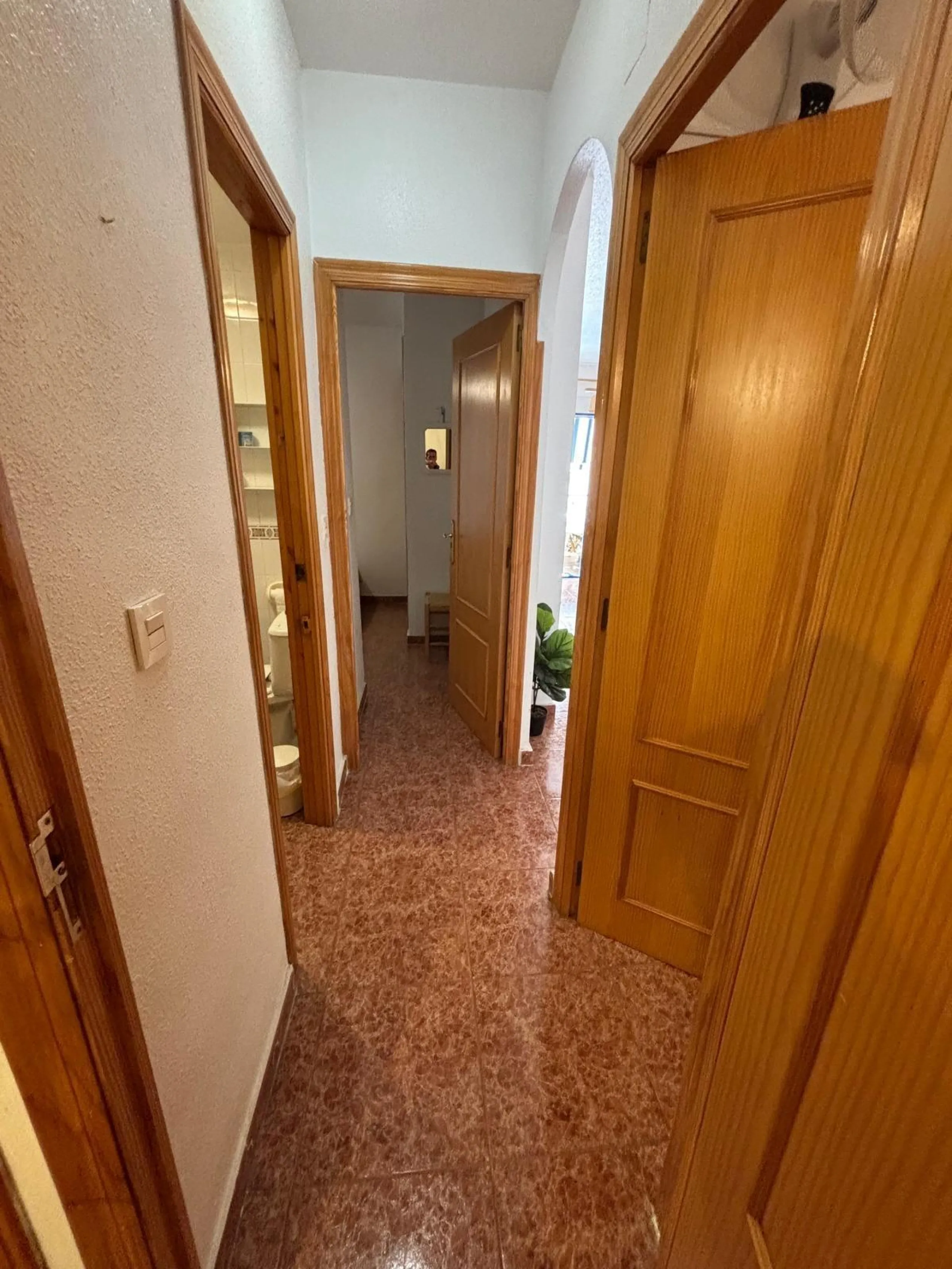 ЭКСКЛЮЗИВНАЯ ВОЗМОЖНОСТЬ В ТОРРЕВЬЕХЕ! 🏠🌴