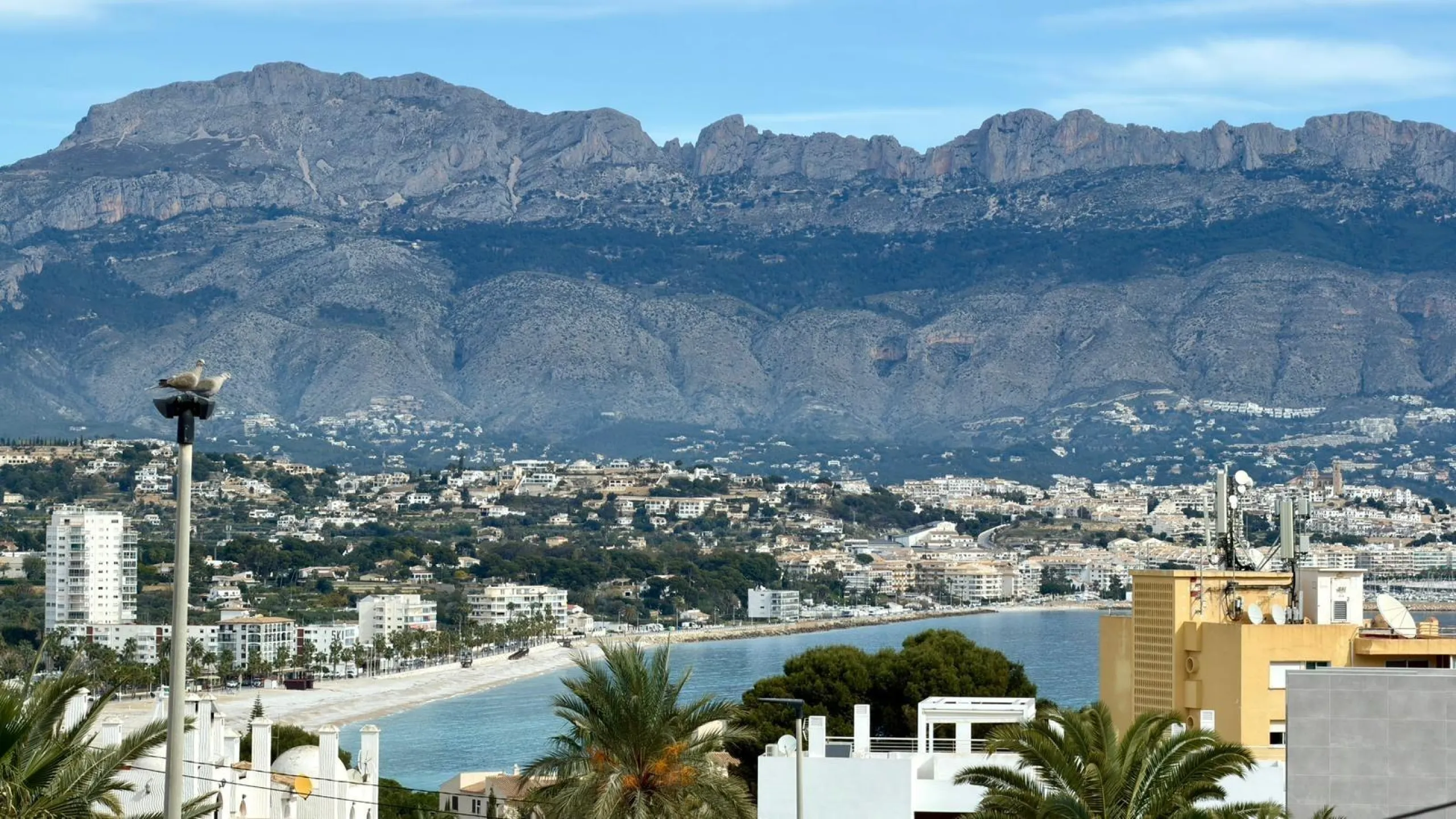 House for sale in Albir 🌊