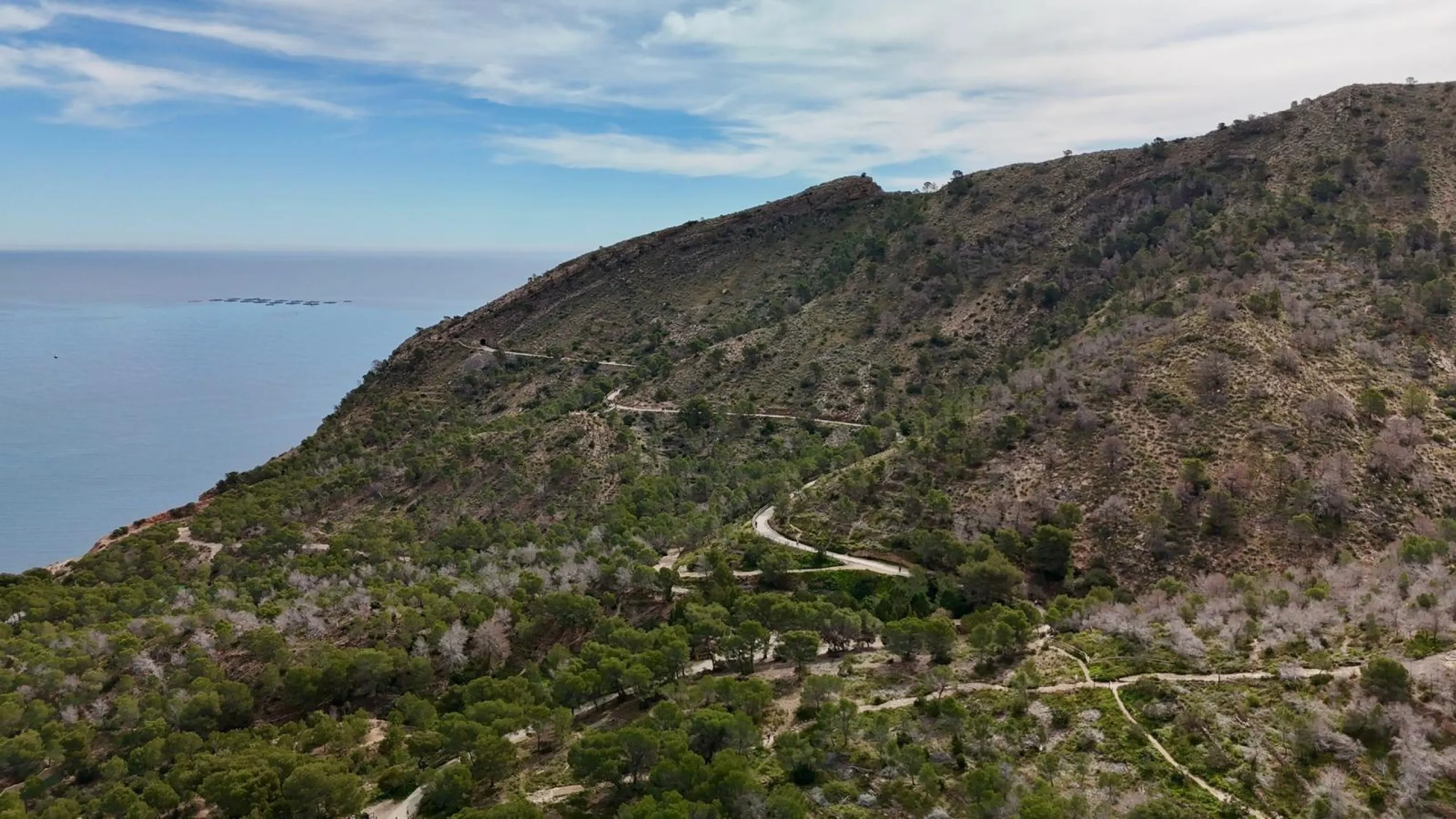 House for sale in Albir 🌊