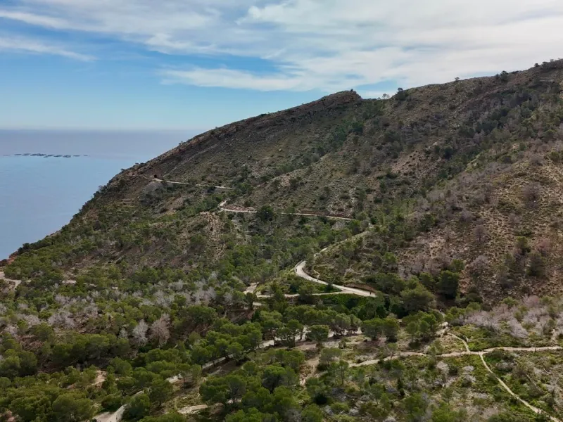 House for sale in Albir 🌊