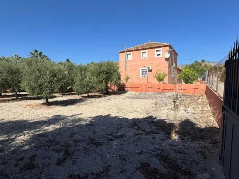 Opportunity in Albatera: Large Country House with Potential