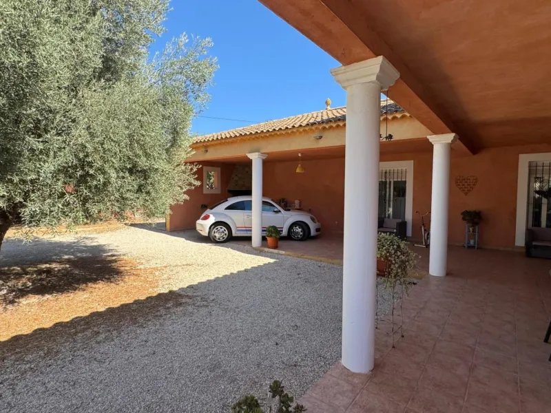 Opportunity in Albatera: Large Country House with Potential
