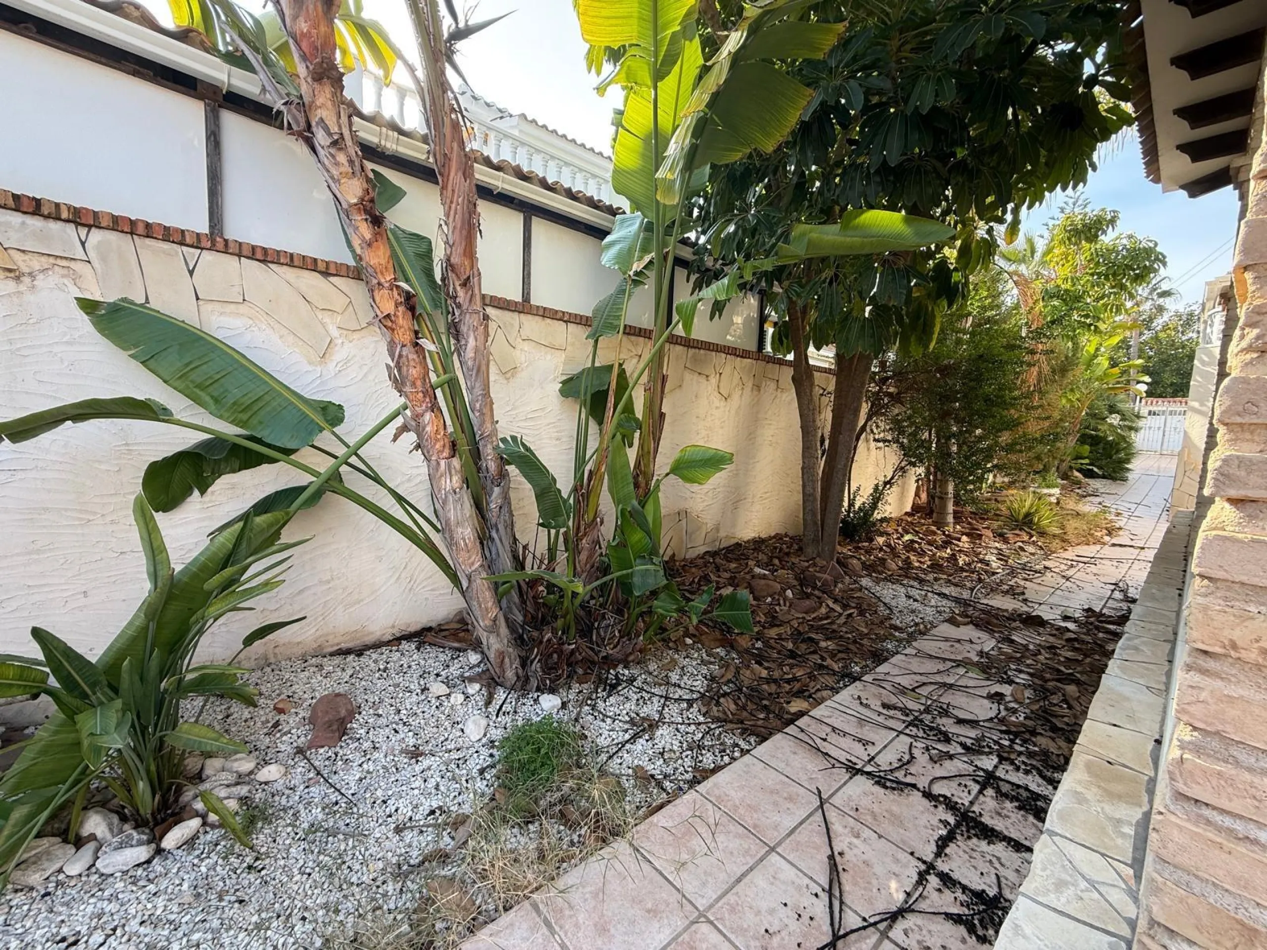 Chalet in La Mata, only 200 meters to the beach
