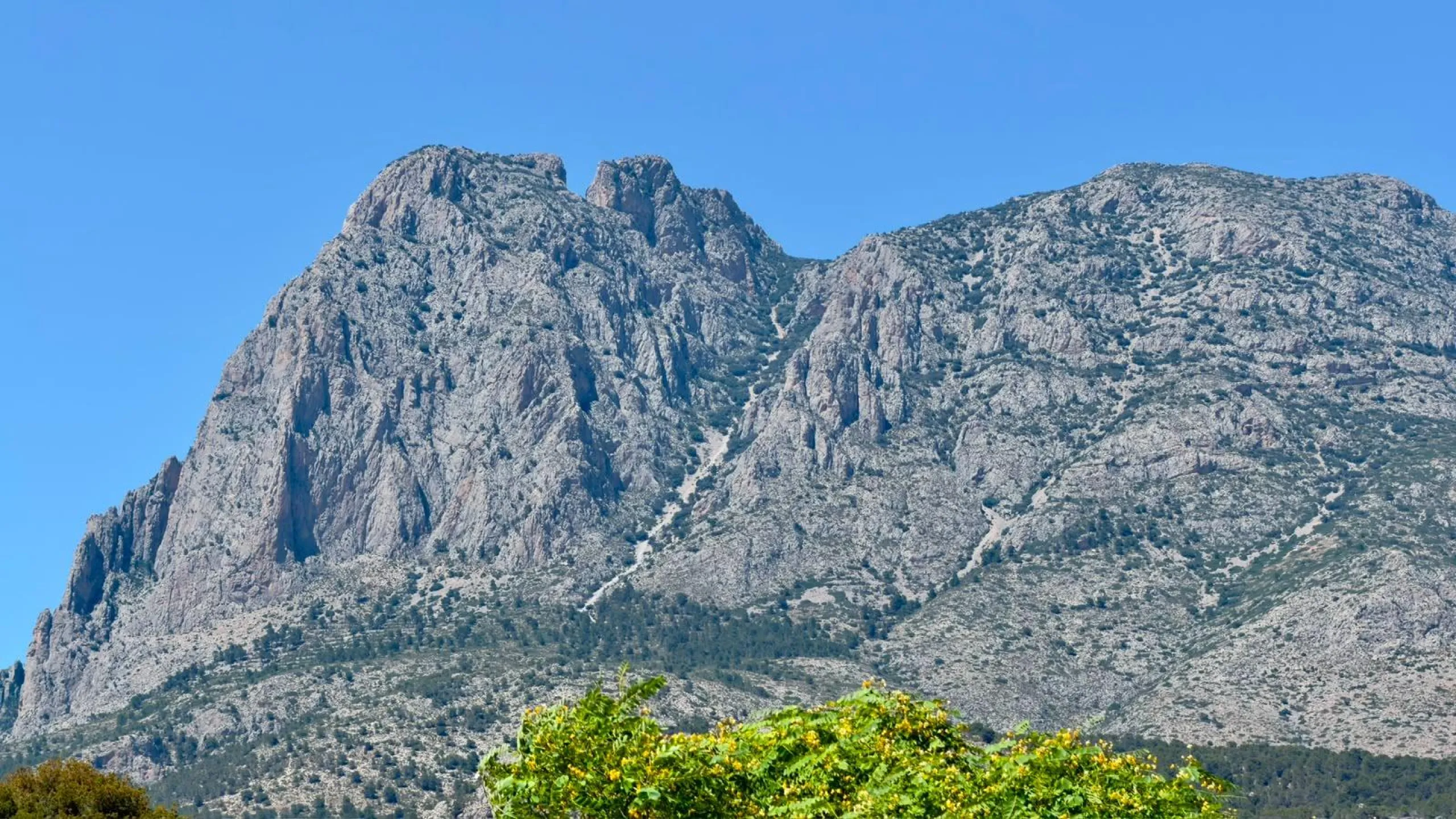 Villas Puig Campana 🌴🌄