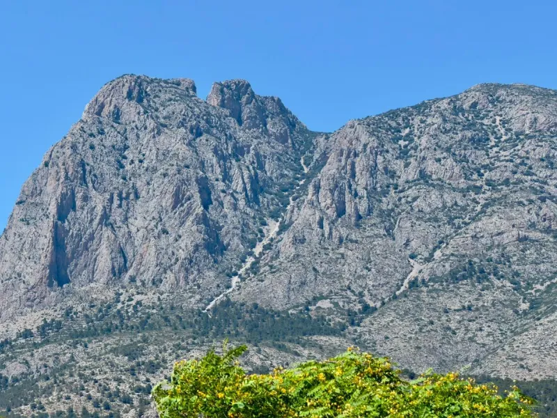 Villas Puig Campana 🌴🌄