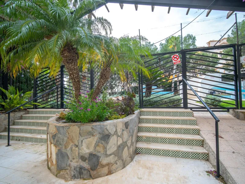 Modern two-storey penthouse in Dehesa de Campoamor: Your new home awaits!