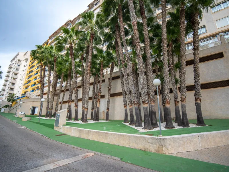 Modern two-storey penthouse in Dehesa de Campoamor: Your new home awaits!
