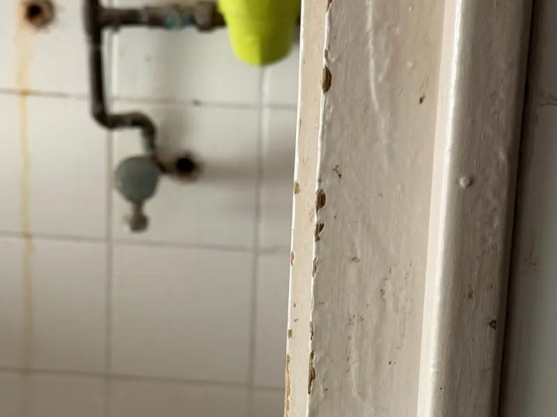 ✨ GRAN OPORTUNIDAD DE REFORMA CON TERRAZA EN ALICANTE ✨
