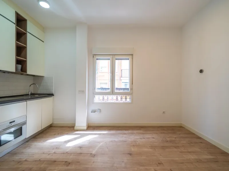 FULLY RENOVATED APARTMENT IN PALACIO, MADRID