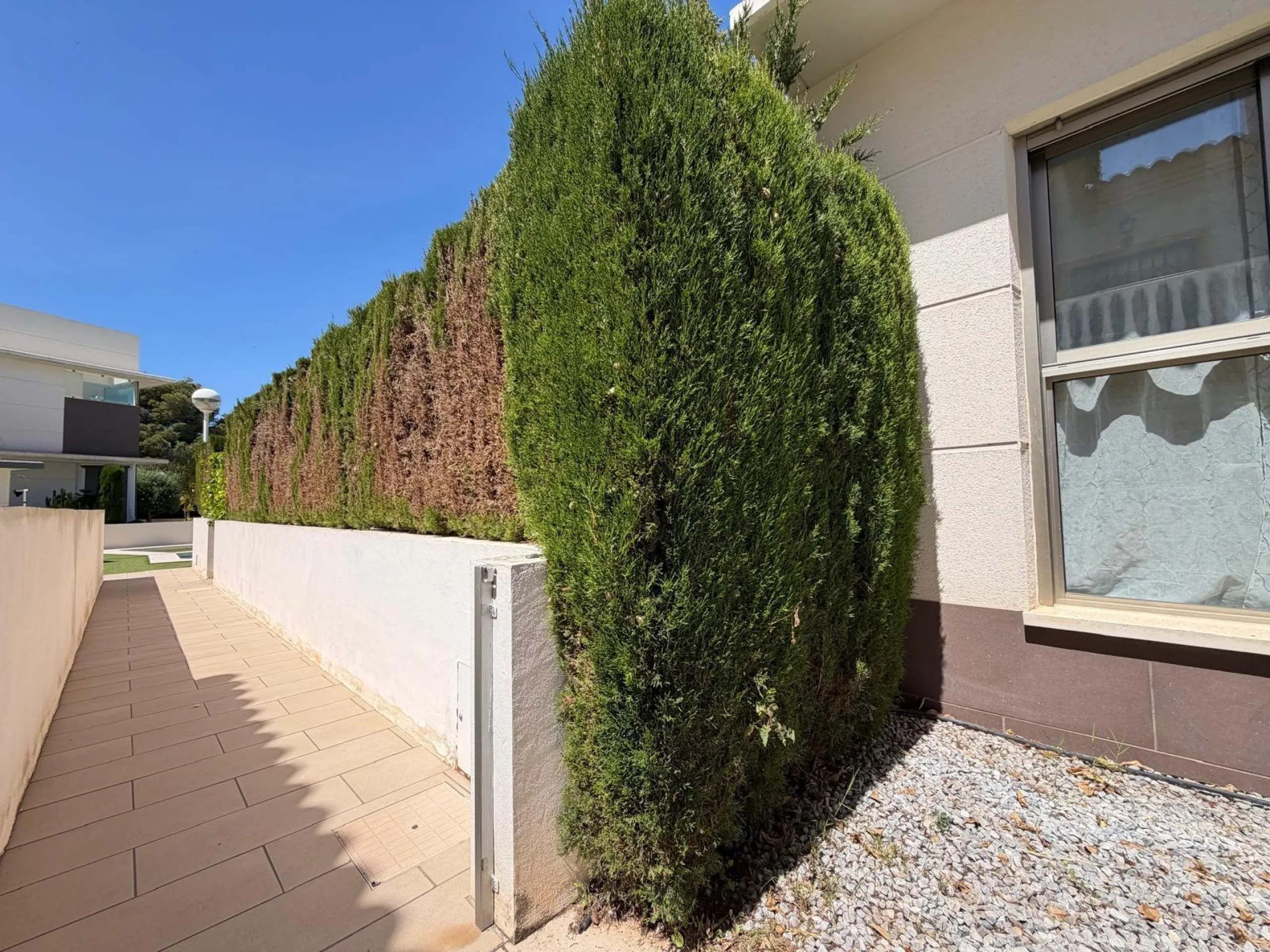INDEPENDENT VILLA IN CIUDAD QUESADA WITH 4 BEDROOMS, 3 BATHROOMS. WITH GARAGE AND 60 M2 SOLARIUM. BUILT AREA 129 M2. PLOT 115 M2.