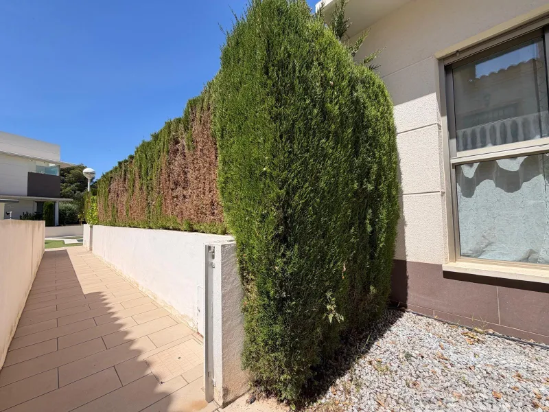 INDEPENDENT VILLA IN CIUDAD QUESADA WITH 4 BEDROOMS, 3 BATHROOMS. WITH GARAGE AND 60 M2 SOLARIUM. BUILT AREA 129 M2. PLOT 115 M2.