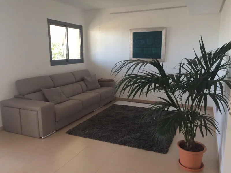 ✨ ÁTICO DE LUJO EN PAU 5 CON SOLÁRIUM PRIVADO Y VISTAS AL CASTILLO ✨