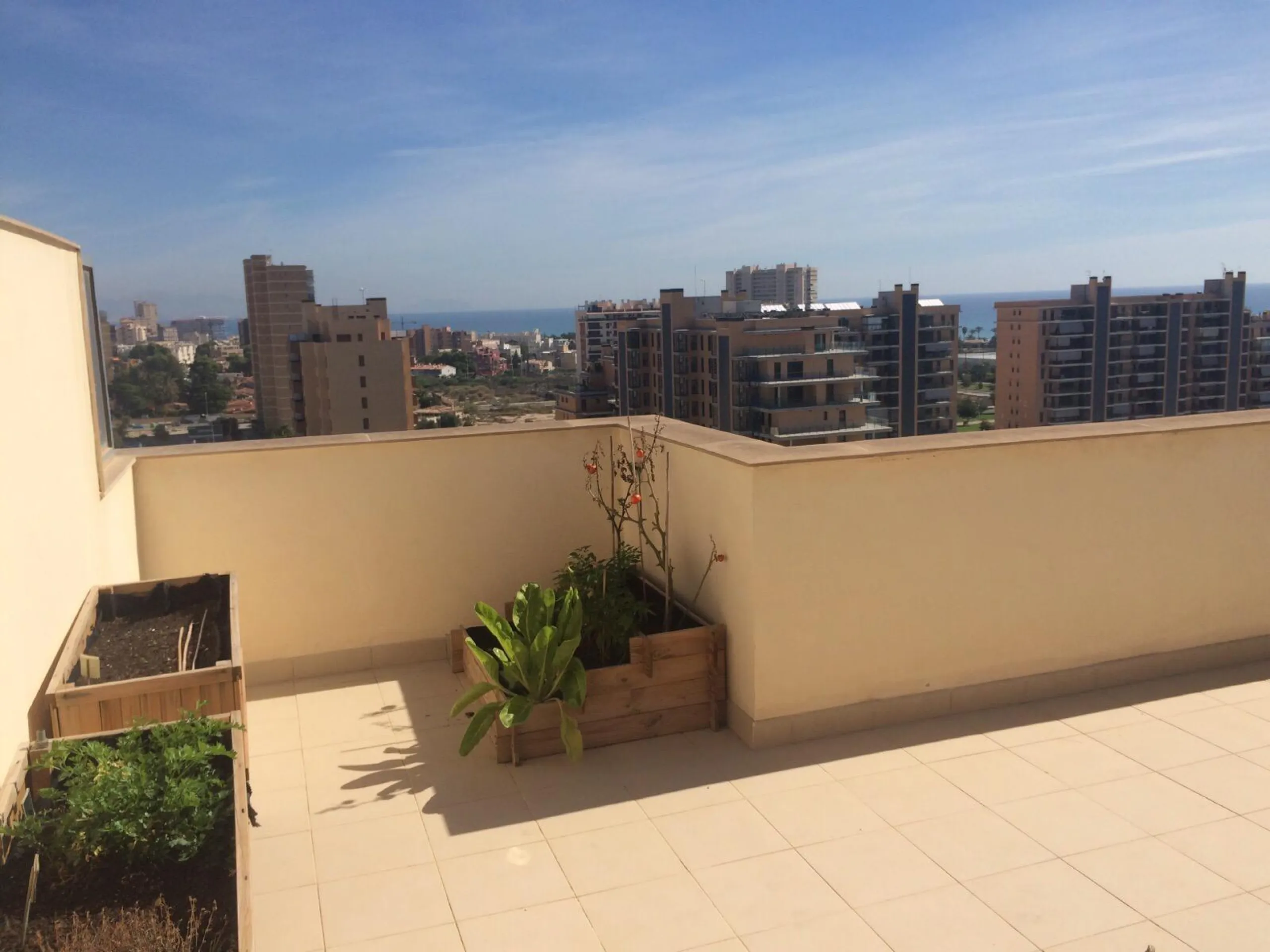 ✨ ÁTICO DE LUJO EN PAU 5 CON SOLÁRIUM PRIVADO Y VISTAS AL CASTILLO ✨