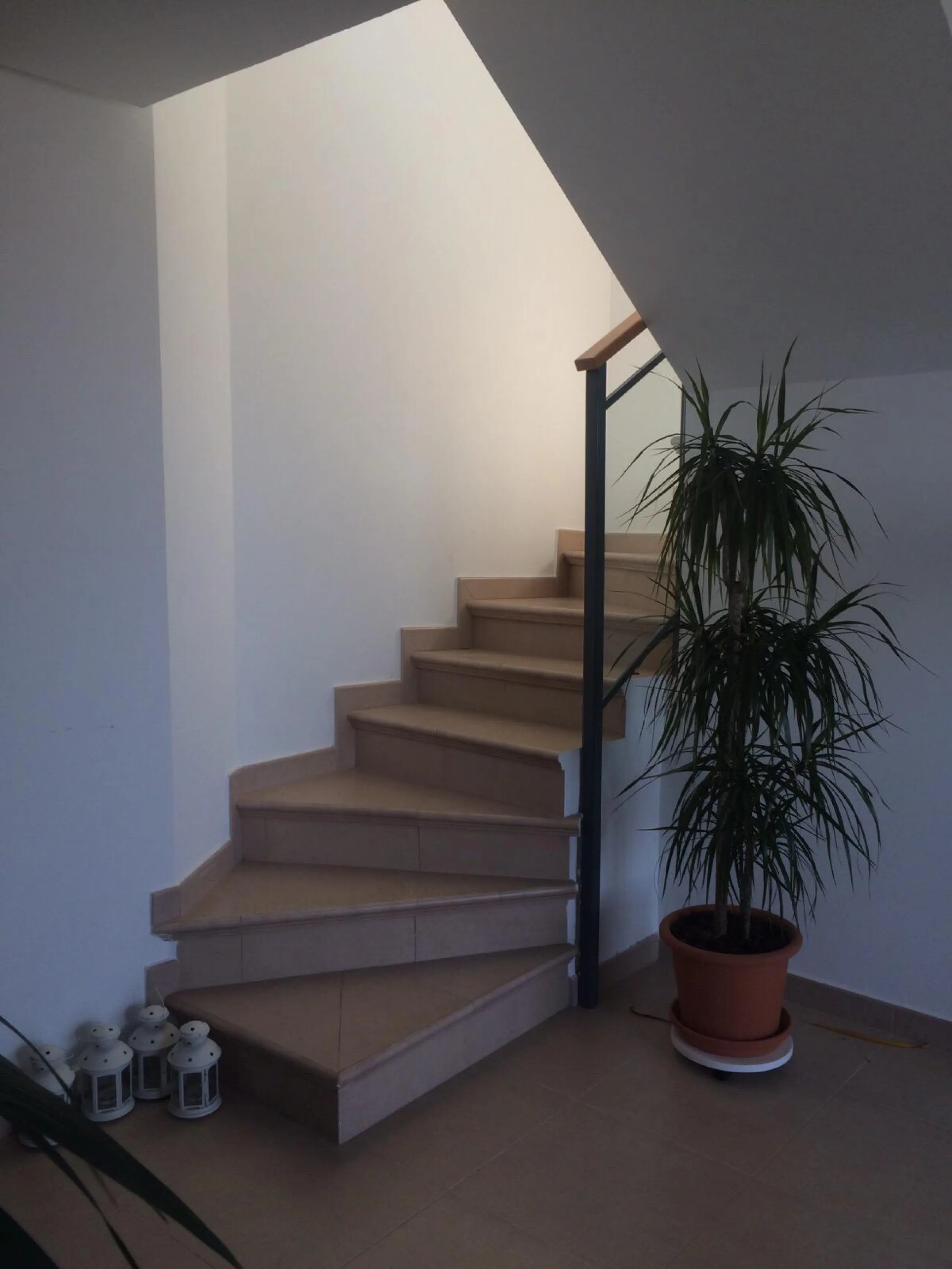 ✨ ÁTICO DE LUJO EN PAU 5 CON SOLÁRIUM PRIVADO Y VISTAS AL CASTILLO ✨