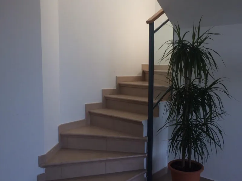 ✨ ÁTICO DE LUJO EN PAU 5 CON SOLÁRIUM PRIVADO Y VISTAS AL CASTILLO ✨