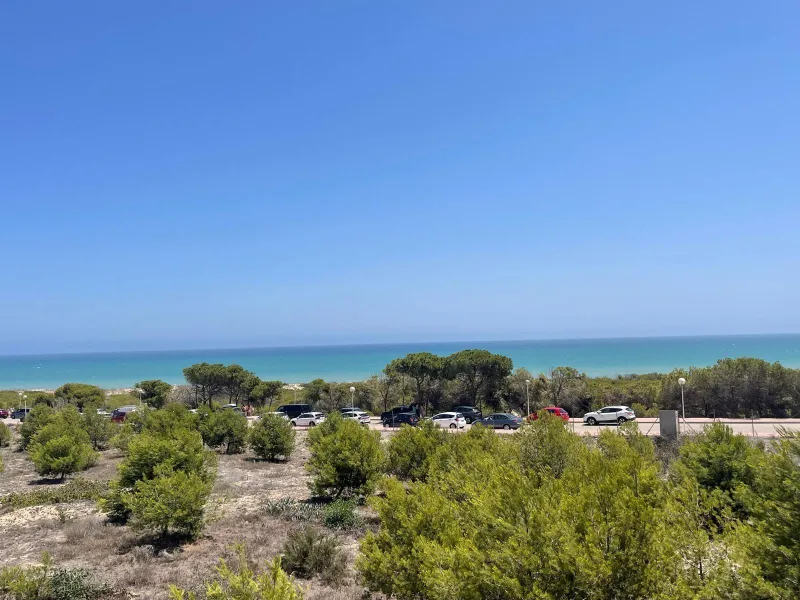 Unique Opportunity: Apartment in Guardamar del Segura, El Moncayo Playa for €250,000