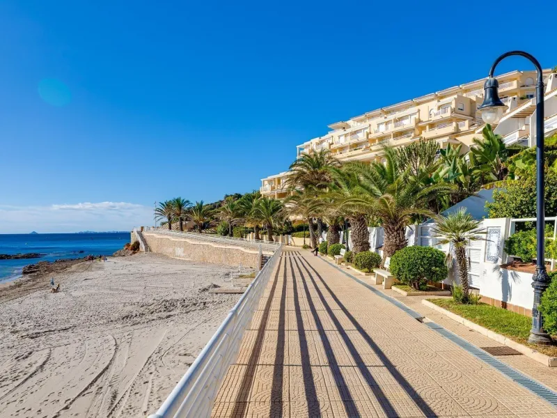 APARTAMENTO DE 2 DORMITORIOS 2 BAÑOS CON TERRAZA EN PLAYA FLAMENCA URB. LAGUNA GOLF