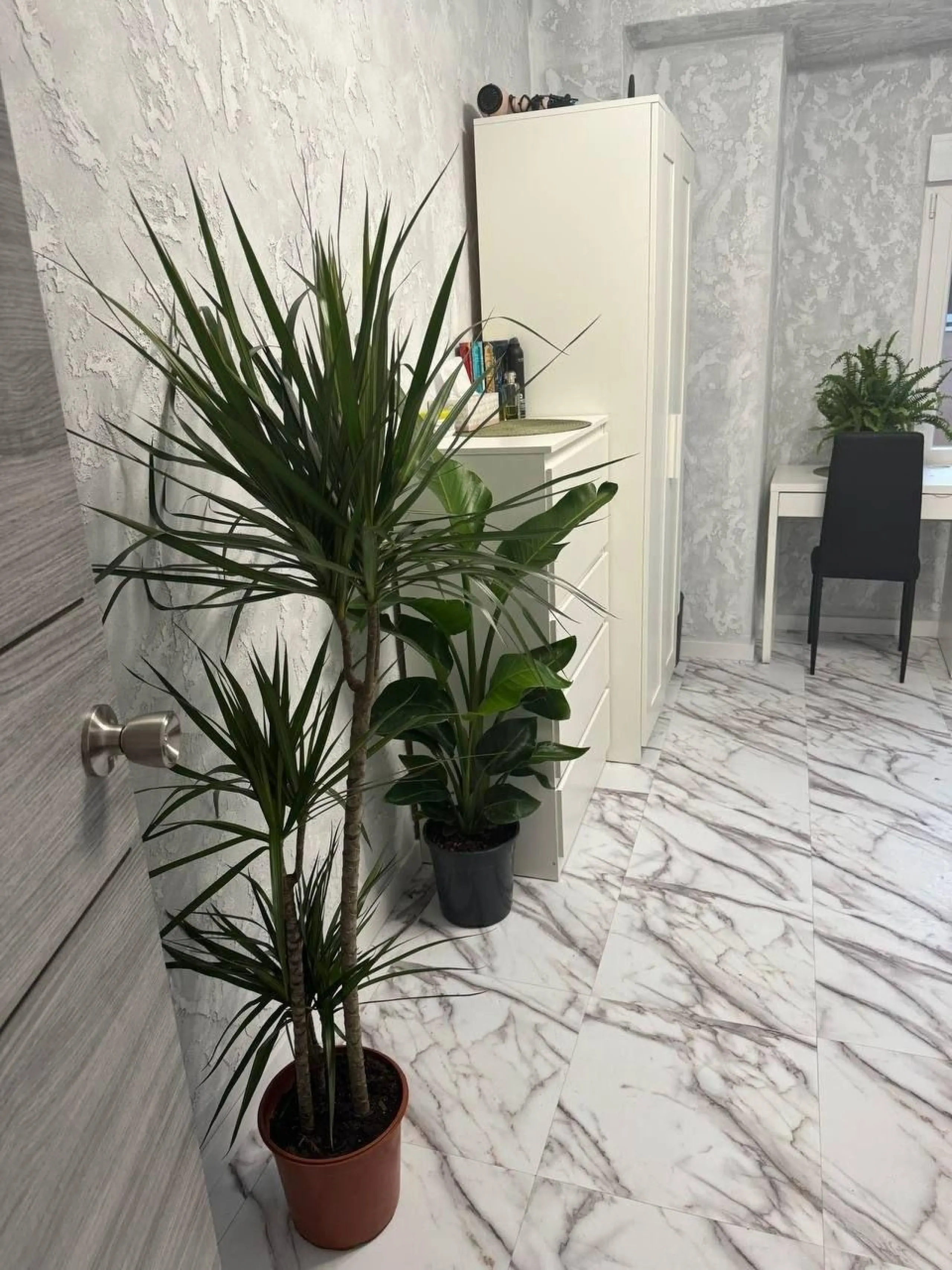 Apartamento de inversión con alta rentabilidad en Mislata (Valencia)