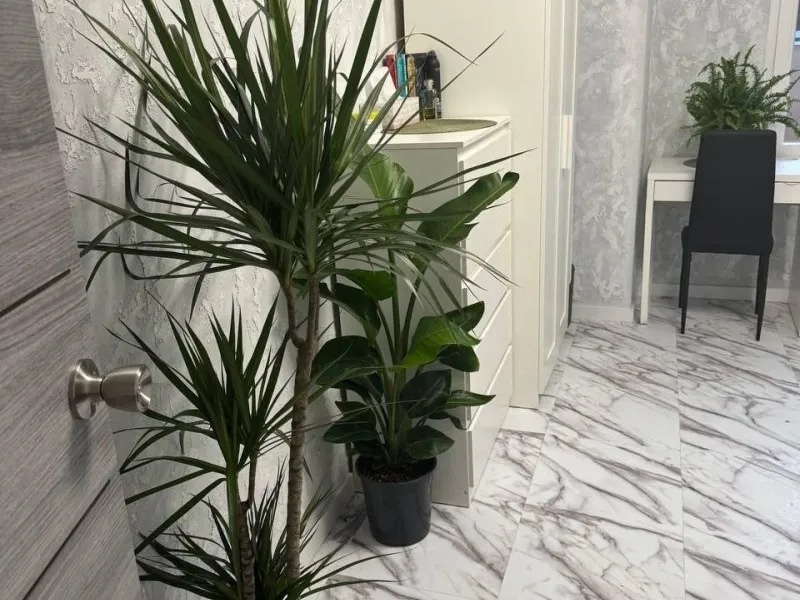 Apartamento de inversión con alta rentabilidad en Mislata (Valencia)