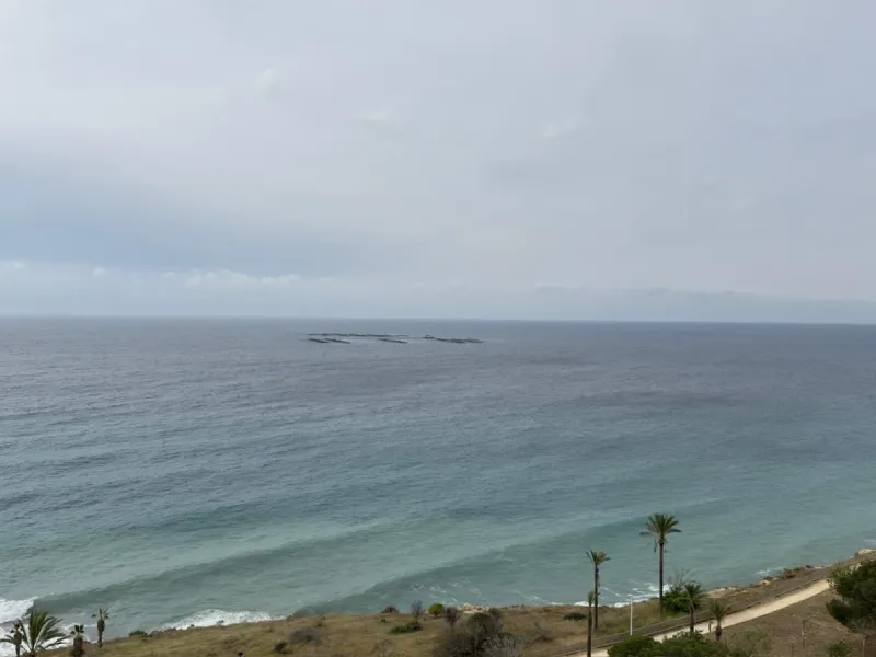 Ático en primera línea de mar en Playa del Torres