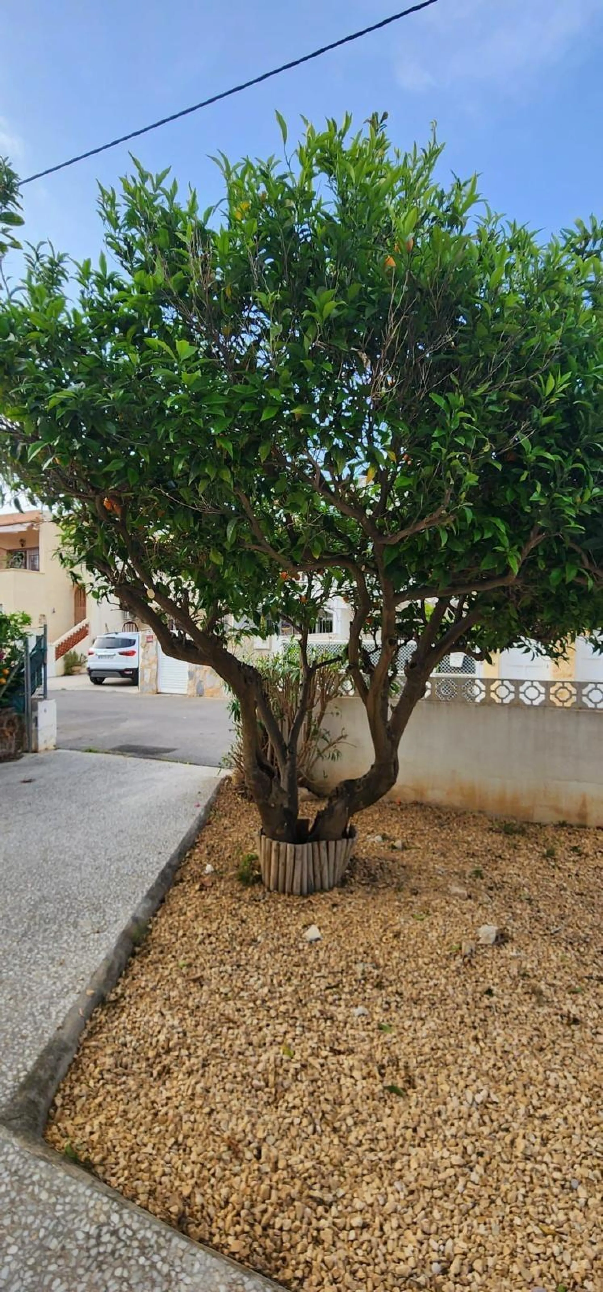🌿 Encantadora vivienda pareada en el corazón de L’Albir, a 200 m de la playa
