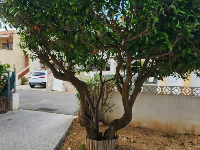 🌿 Encantadora vivienda pareada en el corazón de L’Albir, a 200 m de la playa