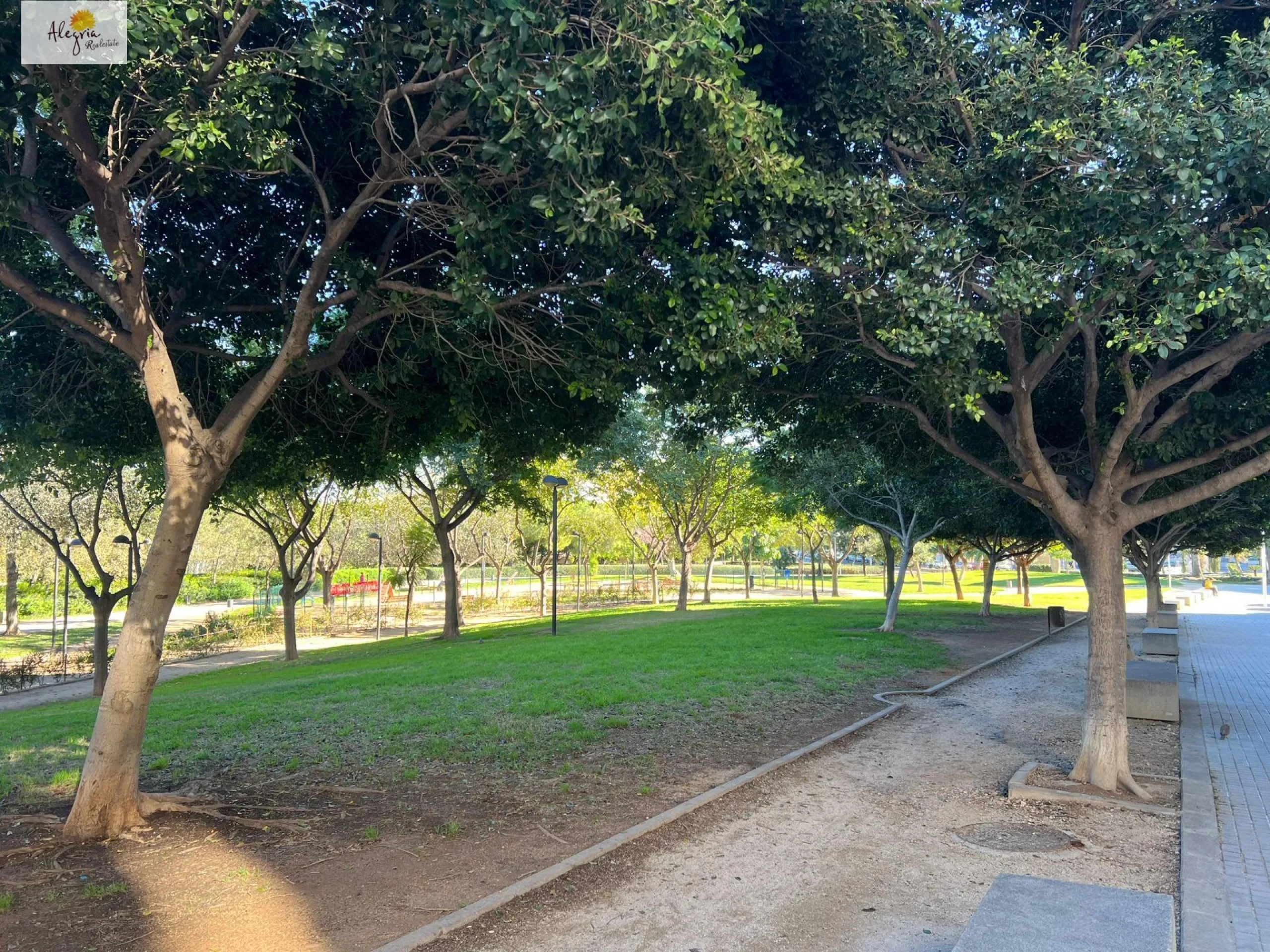 !!! EXCELENTE PAISAJISTICO PISO AL PARQUE TURIA-CABEZERA (MISLATA)