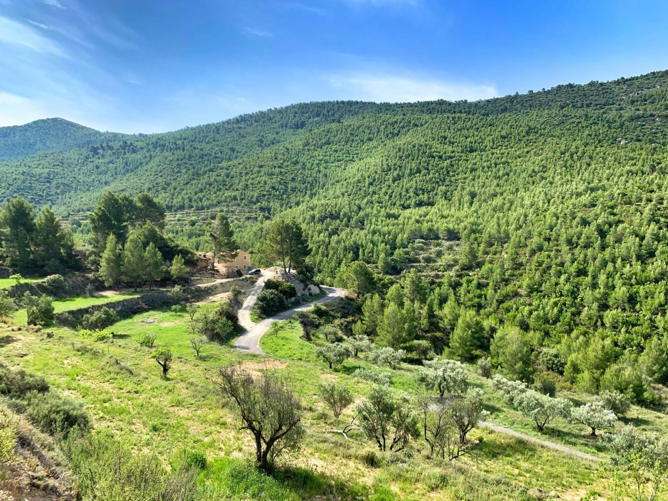 🌿 Finca de ensueño con 65.000 m² de naturaleza privada