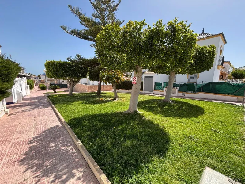 Spectacular Quad in Los Altos with 2 Pools, Solarium and Large Basement