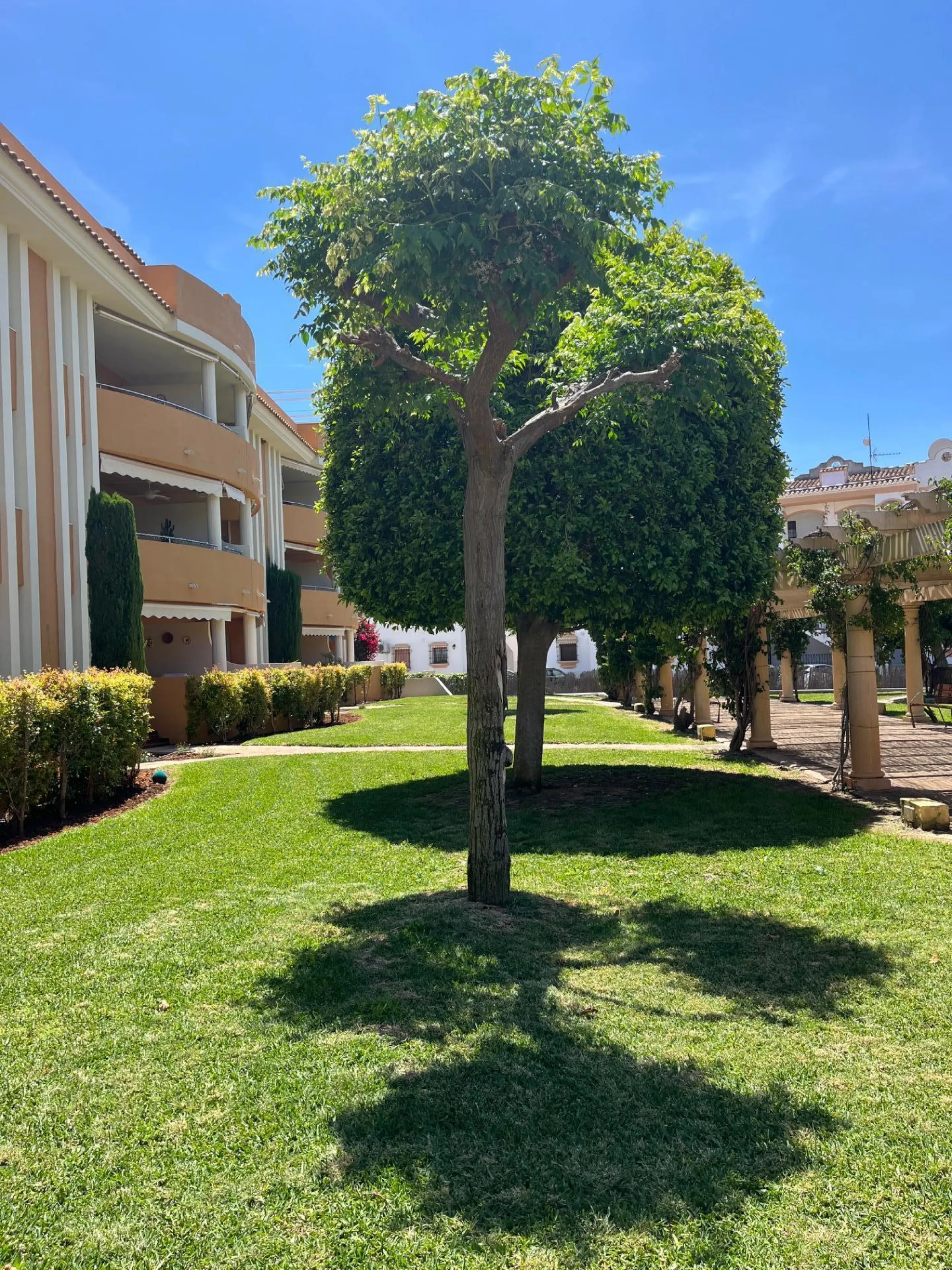 Apartment in a Prime Location Near the Beach in Dénia