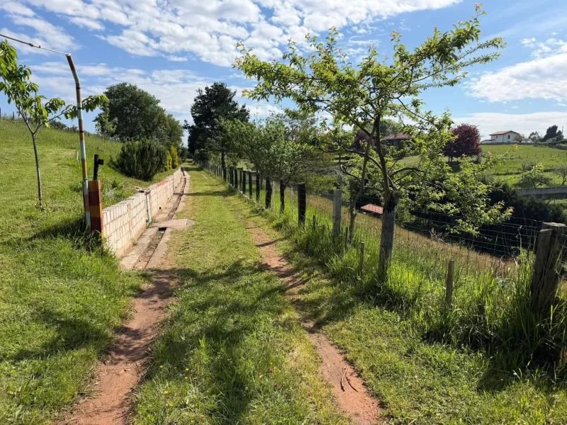Finca exclusiva de 10.000 ‭m2‬ con vistas espectaculares – A solo 5 minutos de Oviedo