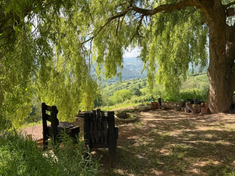 Finca exclusiva de 10.000 ‭m2‬ con vistas espectaculares – A solo 5 minutos de Oviedo