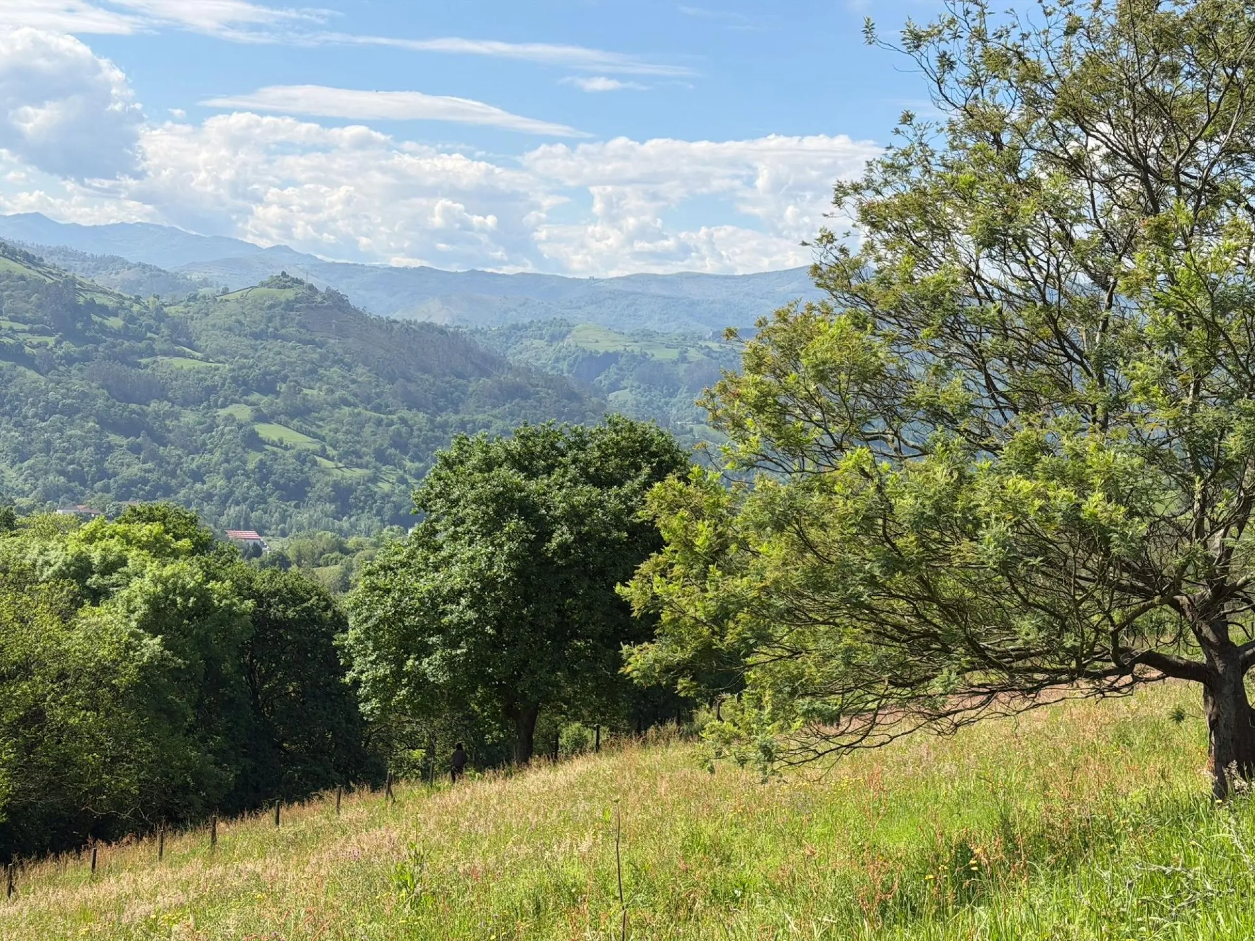 Finca exclusiva de 10.000 ‭m2‬ con vistas espectaculares – A solo 5 minutos de Oviedo