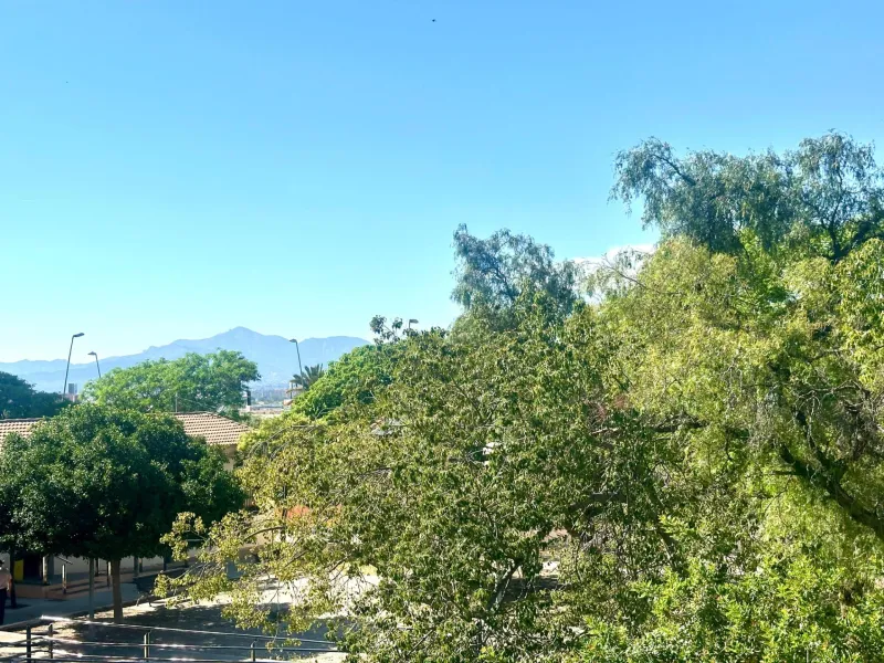 Se vende luminoso apartamento en Alicante, zona Virgen del Remedio.