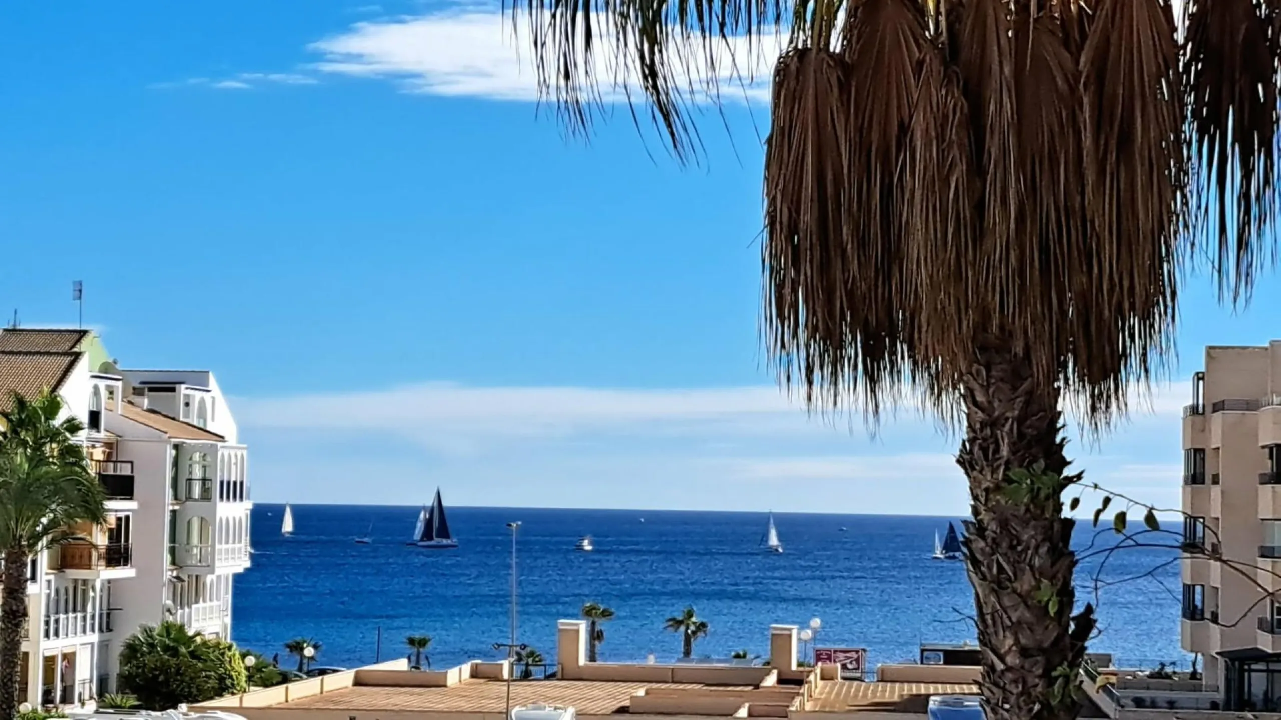 Apartamento de 1 dorm. 1 baño. en Eliseos Playa