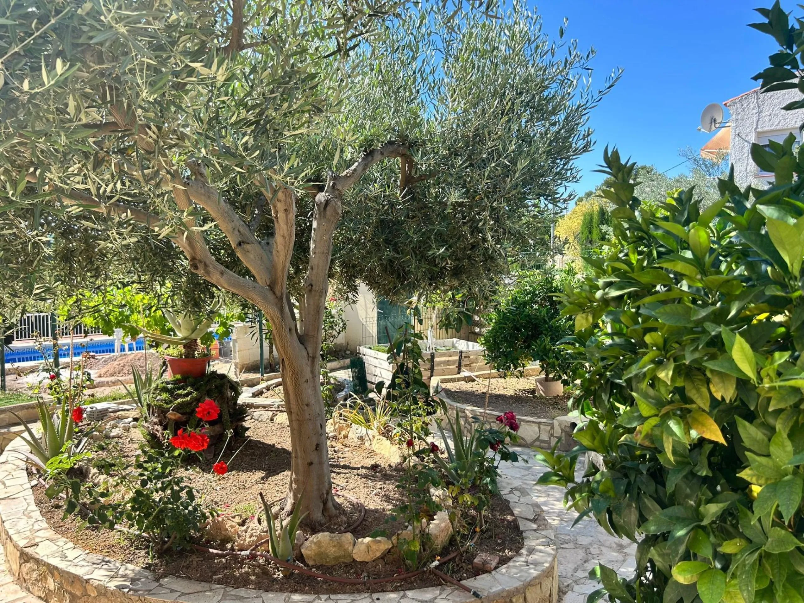 🏡 Independent chalet with private pool and large plot — La Nucía, Alicante