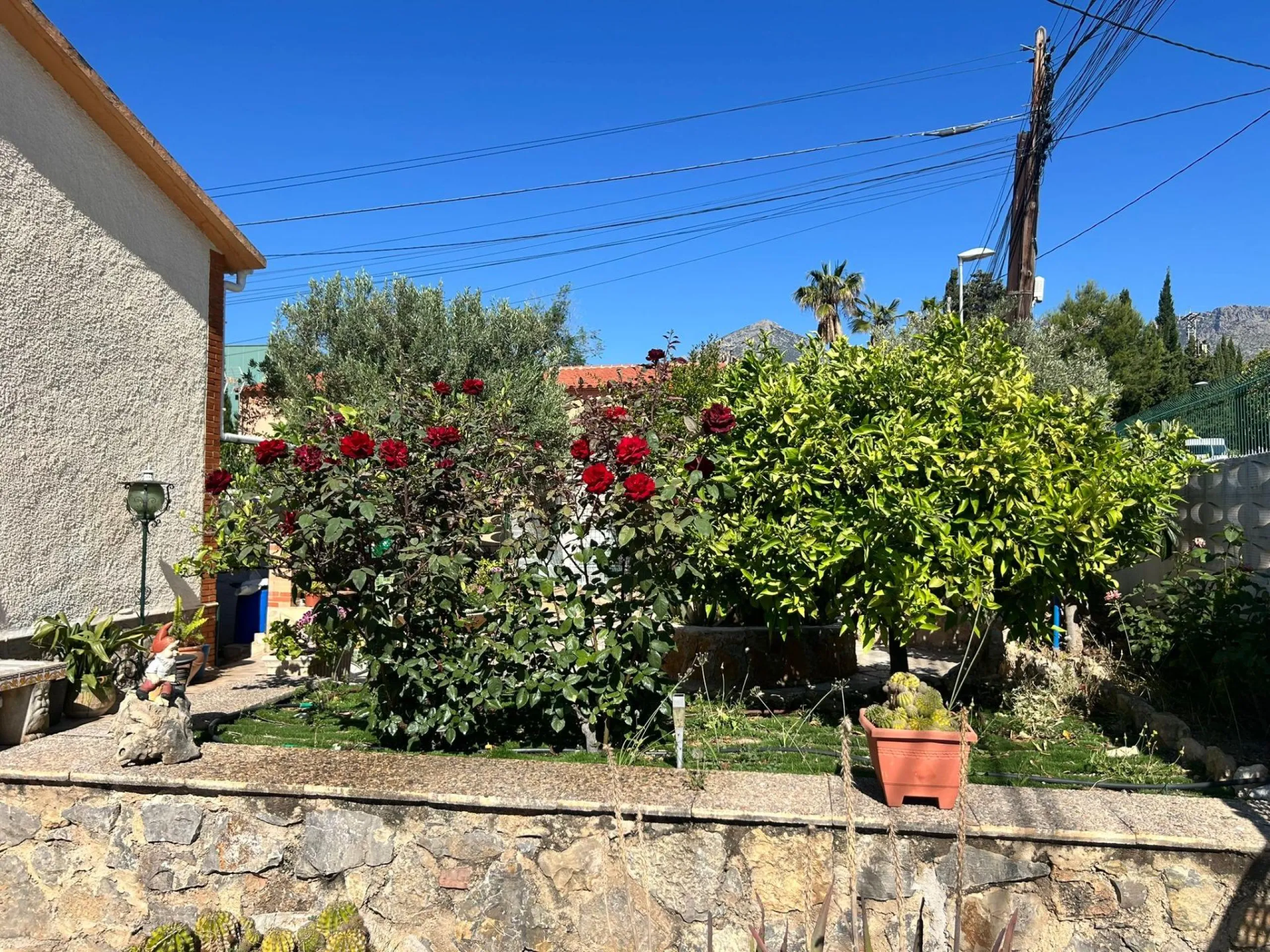 🏡 Independent chalet with private pool and large plot — La Nucía, Alicante