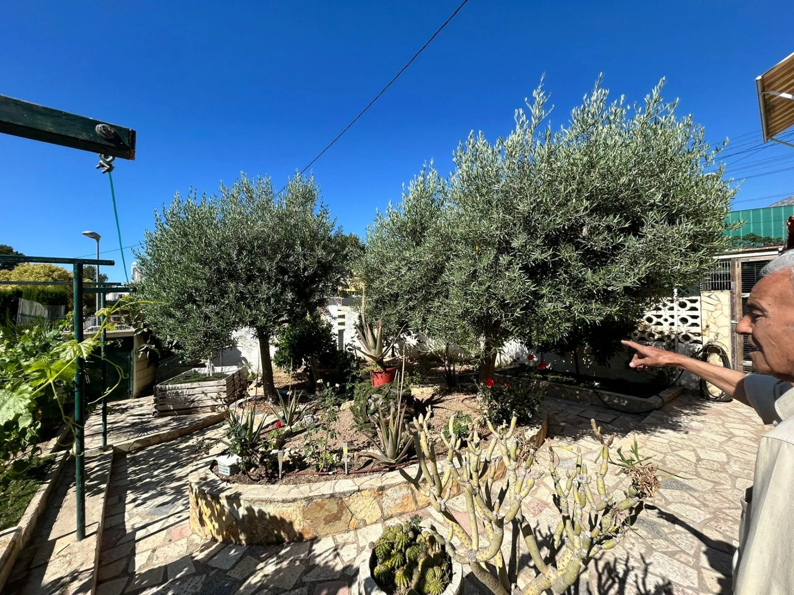 🏡 Independent chalet with private pool and large plot — La Nucía, Alicante