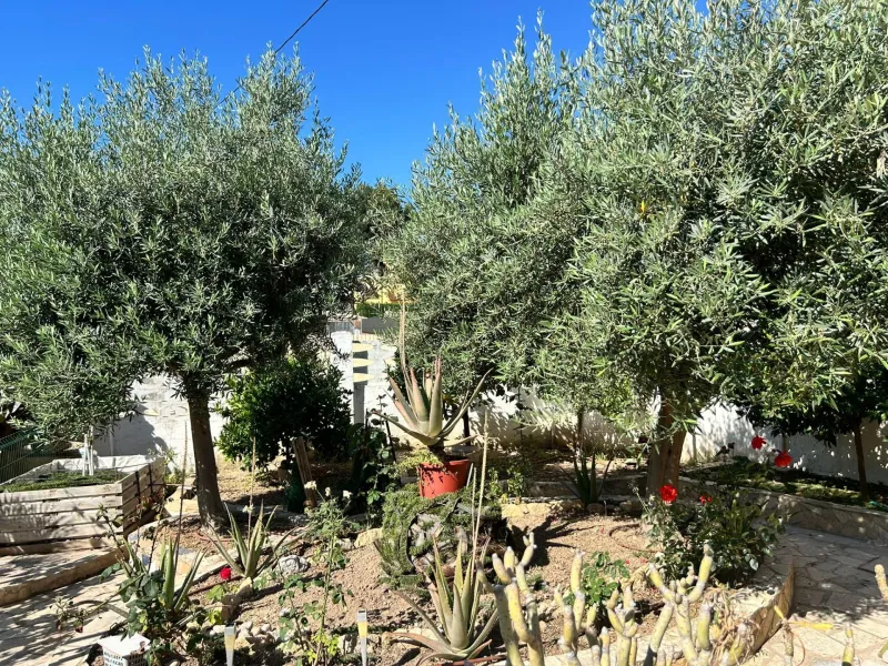 🏡 Independent chalet with private pool and large plot — La Nucía, Alicante
