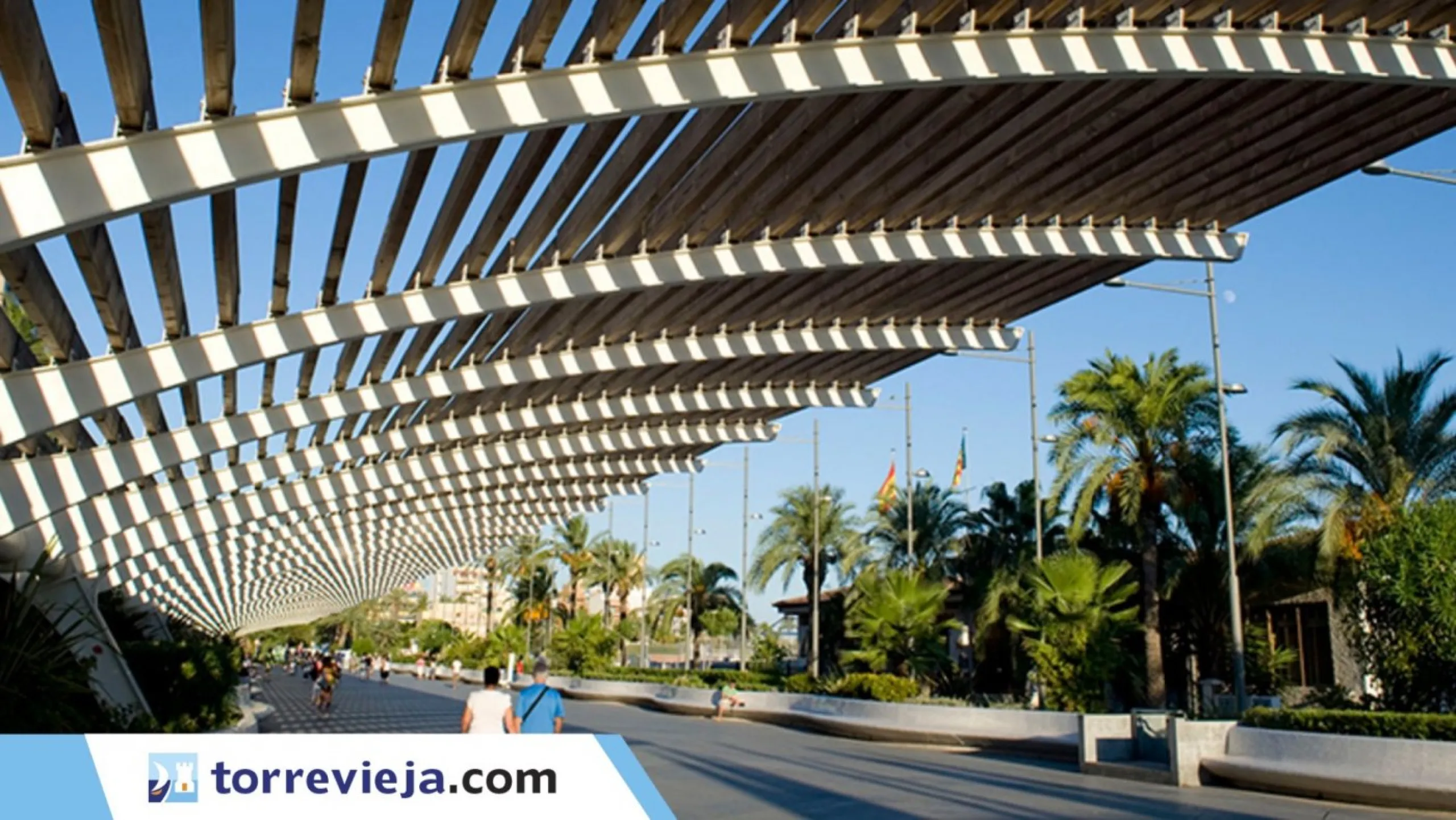 RAMON GALLUD street business premises in the center of TORREVIEJA